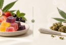 Edibles vs Smoking